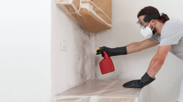 Professional Mold Testing technician working in Milton, MA