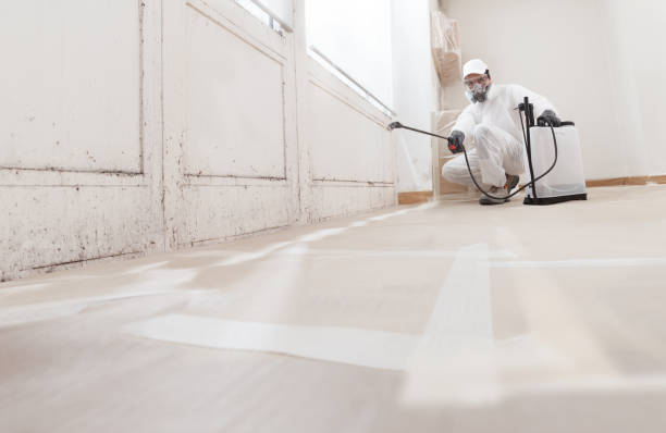 24/7 Emergency Mold Testing experts in Milton, MA